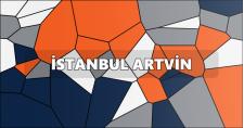 İstanbul Artvin