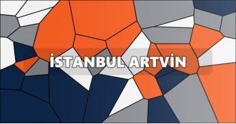 İstanbul Artvin