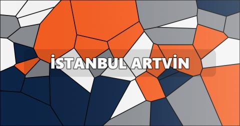 İstanbul Artvin