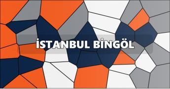 İstanbul Bingöl