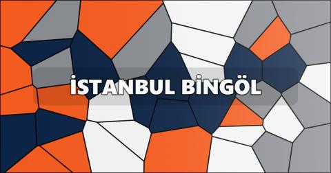 İstanbul Bingöl