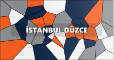 İstanbul Düzce