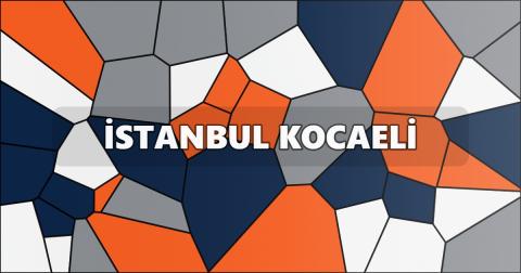 İstanbul Kocaeli