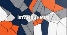 İstanbul Muş