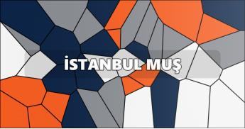 İstanbul Muş