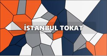 İstanbul Tokat